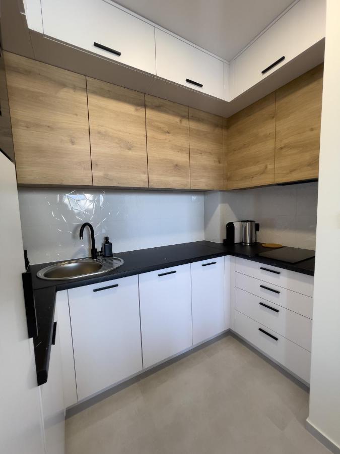 Urban Apartments Premium Baildona 18A, Free Garage, Self Check-In Katowice Luaran gambar